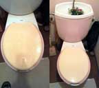 toilet_clean